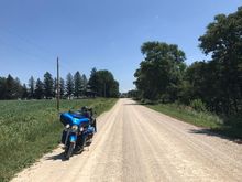 Cornfields of the heartland…