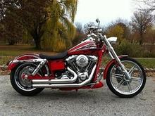 swamp bike pic