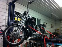softail1
