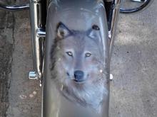 Image008