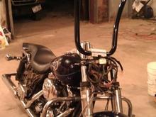 The begining stage from blue to black... 18" carlini gangster apes