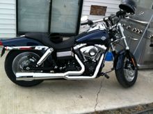 My Fat Bob