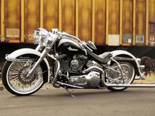 Harley Photoshoot 103