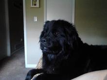 Teddy!!!