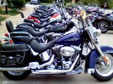 My FLSTC