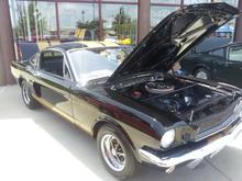 Mustang