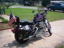 Pic from 2003, it's a 1200C sportster.