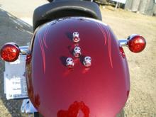 THE ROCK 1 17 2009 005