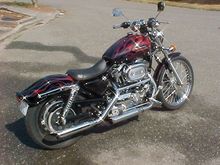 Sportster