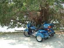 bike7
