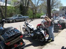 IMG 0343