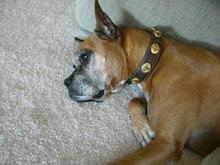 Bailey