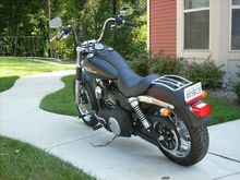 Picture or Video 621