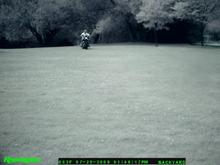 SSS 0083