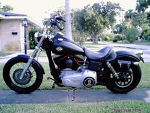 street bob 061