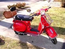 Red "Hot Rod" Stella 2008