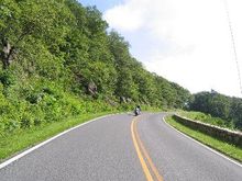 IMG 0084