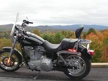 Ellijay Georgia