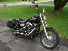 Street Bob
