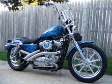 883 sporty custom low