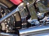 rear fender skirt