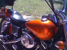 my bikes