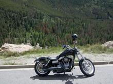 Summer (before wreck) Winter (post) wreck 2010