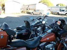Pair of Harleys in Rifle,Colorado
