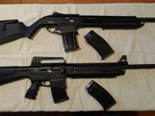 RIA 12ga. Pump and Semi Auto. RIA had a promo with 5 free 9rd mags and $50 ammo credit with I used to score 100rds of 00buck 9-pellet.
