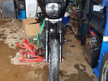 Fork lowers came back from power coat, next is rebuild the brakes!