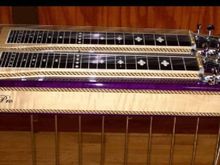 Show Pro steel guitar...