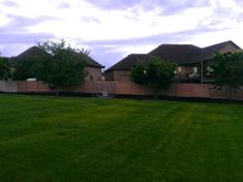 Backyard facing South.
