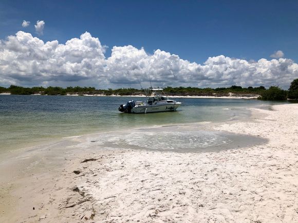 There is a great restaurant around the corner that has good pub grub and drinks called Circles Restaurant 