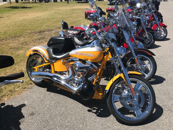 Really liked the colors on this one