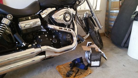 filter showed up and must go on.