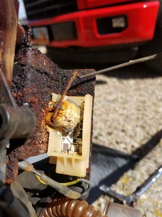 Fuel level float. Covered in more crap.