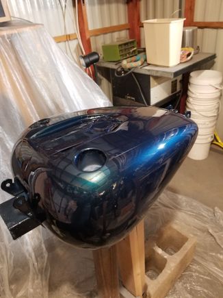 Drying after 3 coats of paint and 3 coats of clear.
