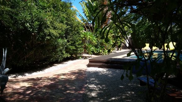 The entrance and pool area heading into our apartment complex.