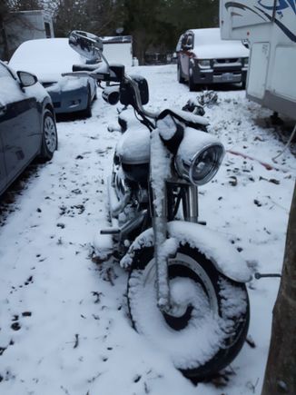 I'm in Canada. I was gonna say "I'll ride any temperature warmer then freezing" but then I remembered this day. So... -5C or warmer. 