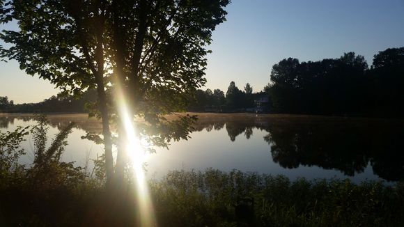 Different pic every morning. 