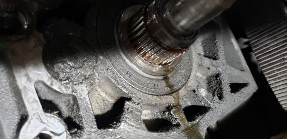 As soon as the transmission sprocket came off, the drip was visible showing it was the quad seal and not the mainshaft seal.