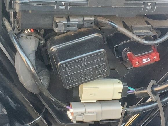Under the left side cover are two plugs.  I'm told the white, unused one, is for the accessory switch. 
