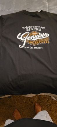 Back
#1 cancun