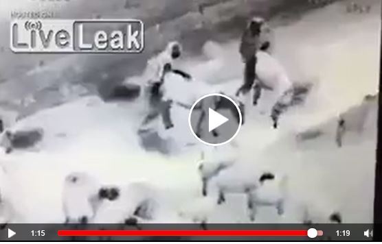 2 Afganis rapiing sheep