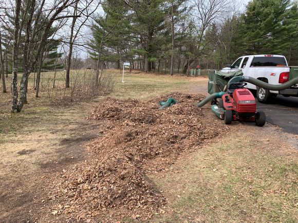 I suck the leaves up, dump near road, blow into my truck, and take to the dump. 