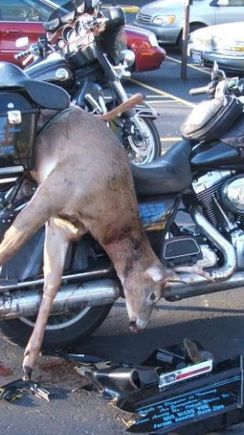 Put that on ya warranty form then assholes.

Wiz Bang 🤘

