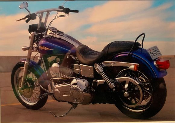 2009 FXDL