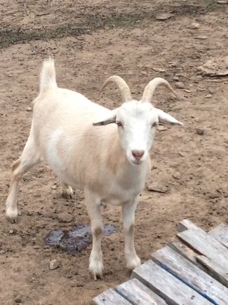 “I’m so excited and I just can’t hide it, I don’t want to know but I think I like it “