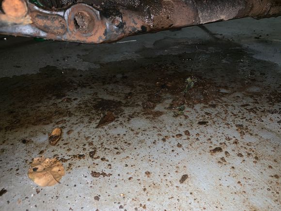 all the dirt that’s come off so far 