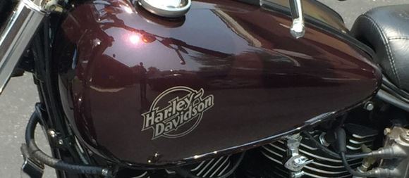 Here is a better look at the color

